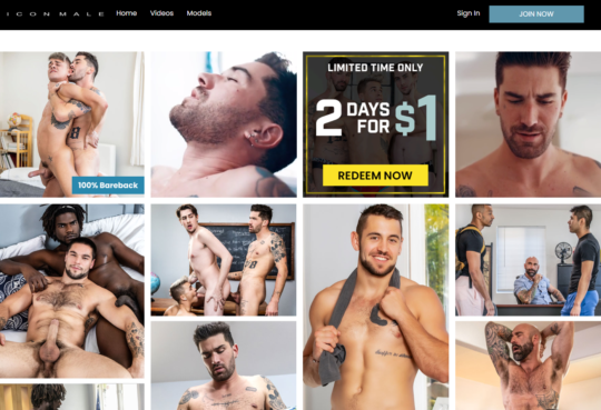 Icon Male